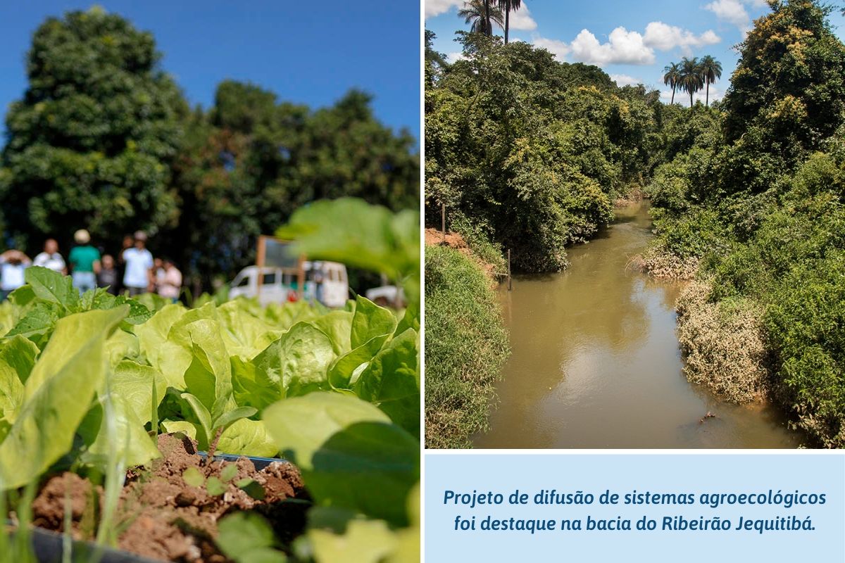 Projeto de difusão de sistemas agroecológicos foi destaque na bacia do Ribeirão Jequitibá.