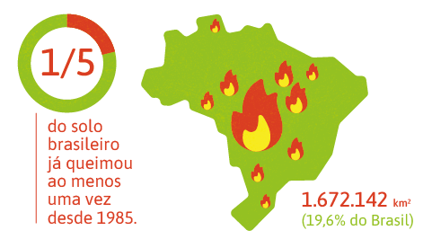 1/5 do solo brasileiro já queimou ao menos uma vez desde 1985.