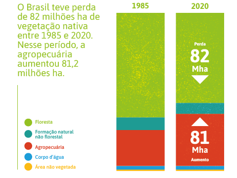 O Brasil teve perda de 82 milhões ha de vegetação nativa entre 1985 e 2020. Nesse período, a agropecuária aumentou 81,2 milhões ha.