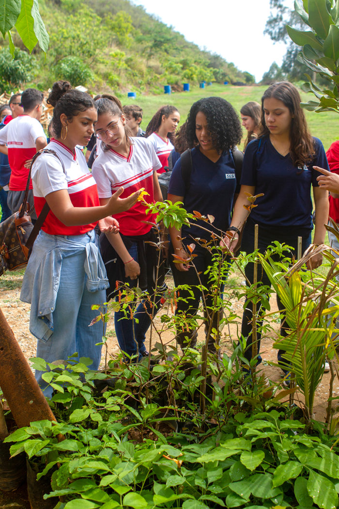 Serra de Santa Helena, em Sete Lagoas, no Médio-Baixo Rio das Velhas, recebe continuamente alunos em parcerias entre escolas e ONGs. 
