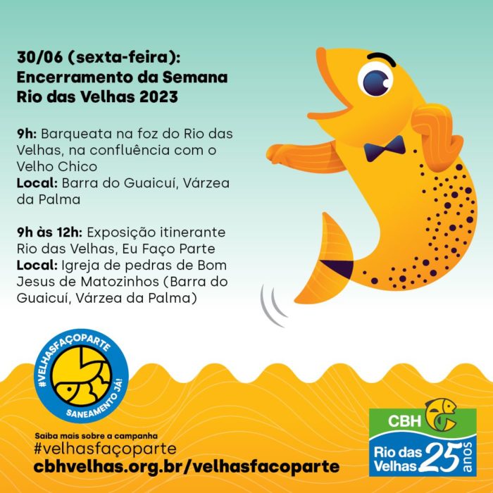 Revista Velhas nº 17: Várzea, onde o futebol germina - CBH Rio das Velhas :  Comitê da Bacia Hidrográfica do Rio das Velhas