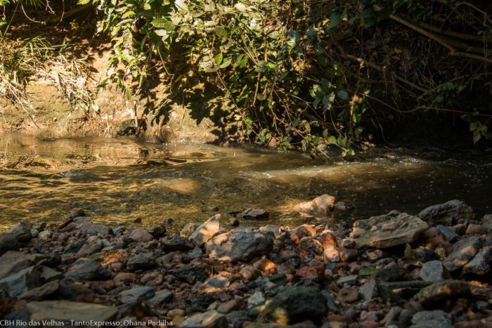 Diretoria Ampliada debate editais de saneamento, segurança hídrica e novos projetos para a bacia