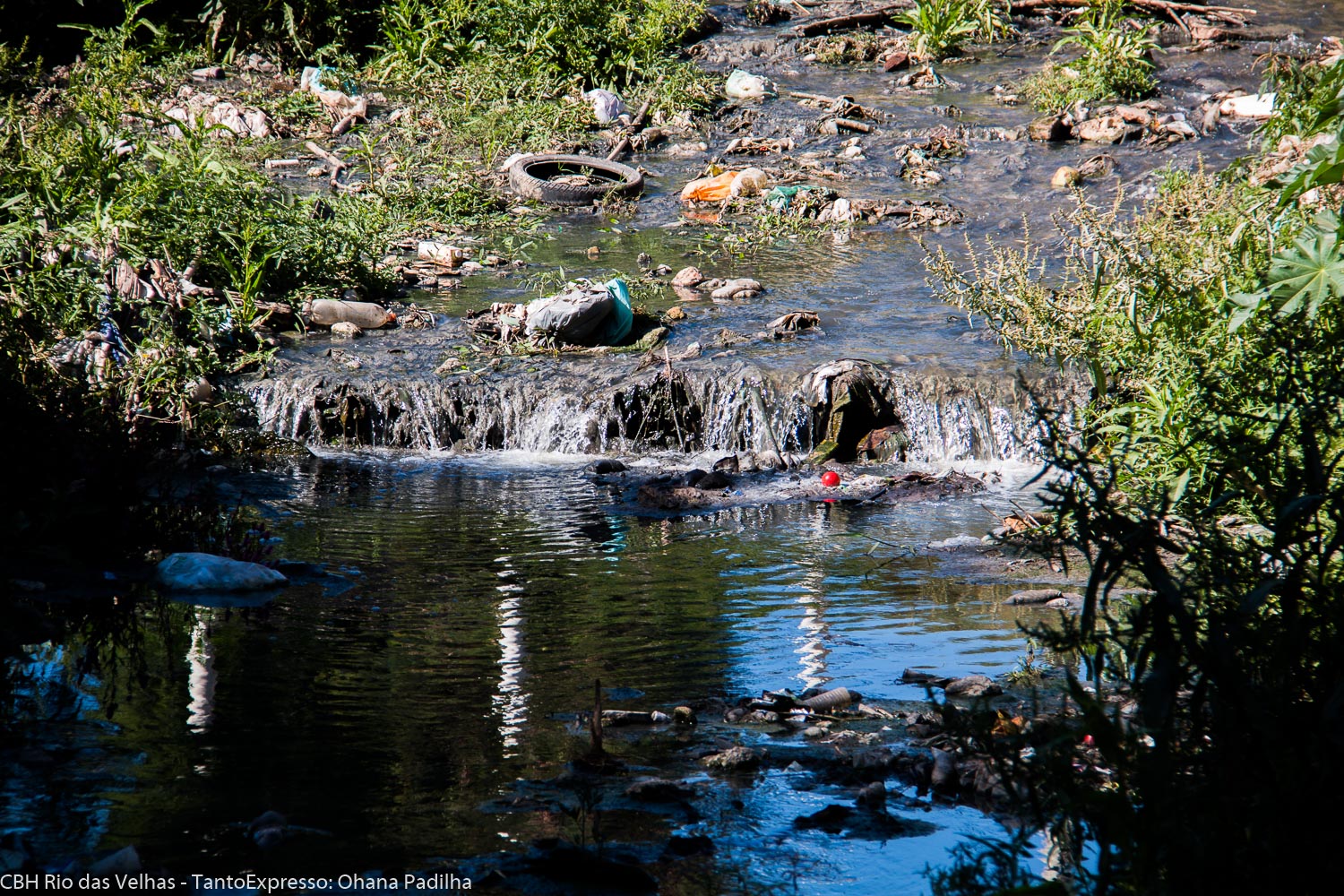 rios de minas apresentam alta poluição por esgoto e velhas tem 50 das