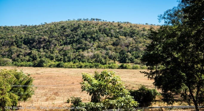 Estruturado pelo Comitê, Plano de Manejo do Refúgio de Vida Silvestre Macaúbas recebe aprovação