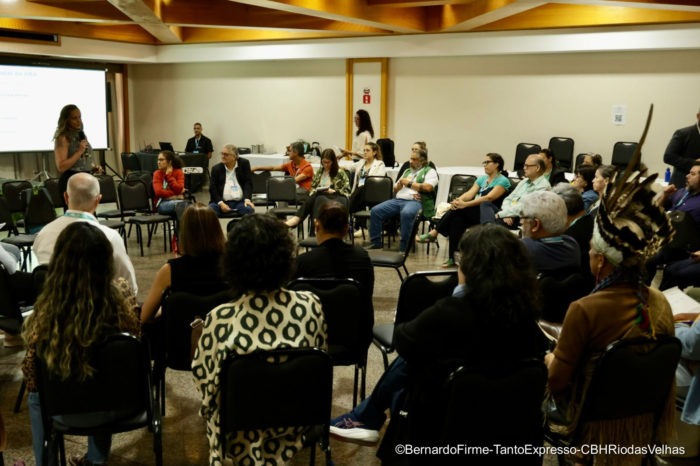 Gestão hídrica, recuperação ambiental e comunicação: CBH Rio das Velhas compartilha experiências no Encob 2025