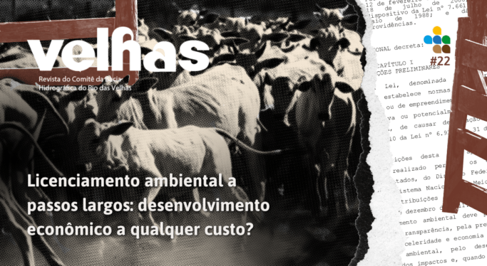 Revista Velhas nº22: Licenciamento ambiental a passos largos: desenvolvimento econômico a qualquer custo?