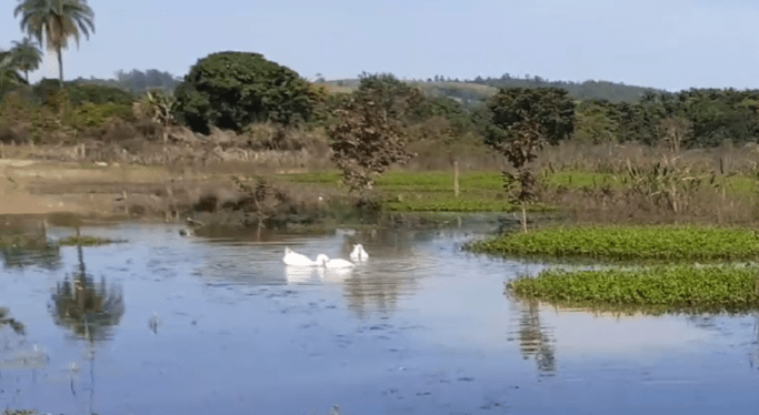 Projeto de Diagnóstico Ambiental marca novo passo pela revitalização da Lagoa da Lapinha, em Lagoa Santa