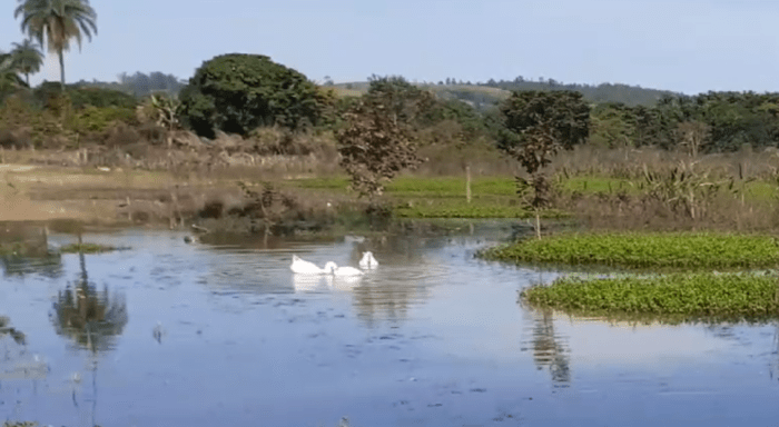 Projeto de Diagnóstico Ambiental marca novo passo pela revitalização da Lagoa da Lapinha, em Lagoa Santa