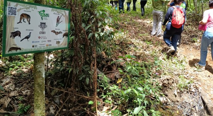 Educação ambiental e conservação: alunos participam de visita e apresentam catálogo da fauna e flora de Ouro Preto