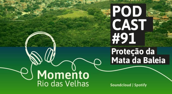 Novo episódio do Momento Rio das Velhas destaca a importância da Mata da Baleia, em Belo Horizonte