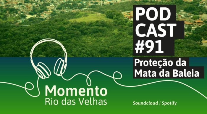 Novo episódio do Momento Rio das Velhas destaca a importância da Mata da Baleia, em Belo Horizonte