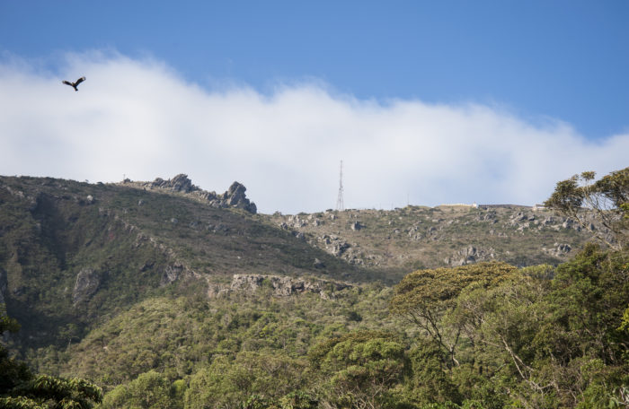 Atuação do Subcomitê leva MPMG a paralisar ações da Ravena Mineração na Pedra Rachada