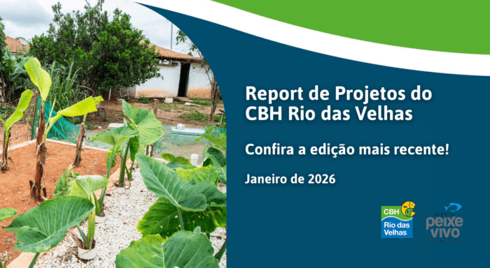 Mais nova edição do Report de Projetos do CBH Rio das Velhas já está disponível