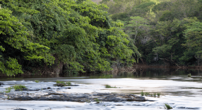 CTOC analisa pedido de outorga para dragagem no Rio das Velhas em Santana de Pirapama