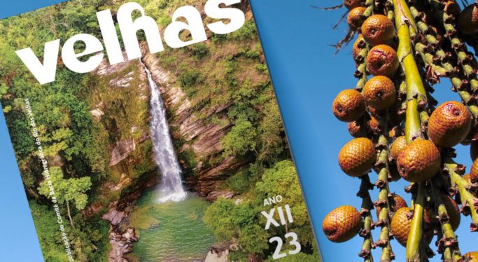 Publicada a 23ª Edição da Revista Velhas, publicação semestral do CBH Rio das Velhas