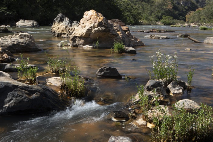 Segundo ciclo do Programa de Conservação Ambiental e Produção de Água entra em fase de elaboração dos projetos